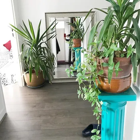 Place 80m2- 2 To 8 Beds- 30min From Paris 15min Aeroport Orly Apartment *
